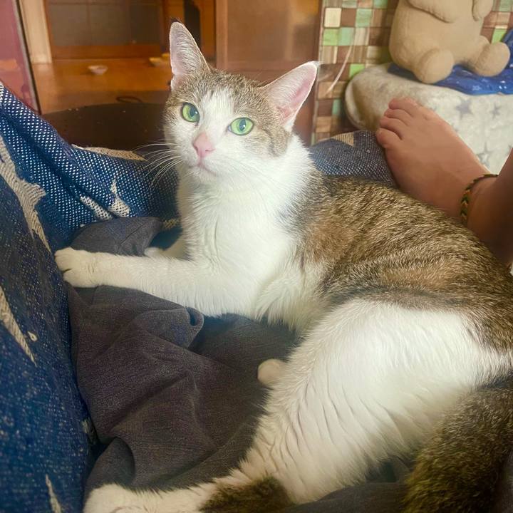 6d7ffa47 9646 491d 8152 25fcd2e914bd 1627772326969