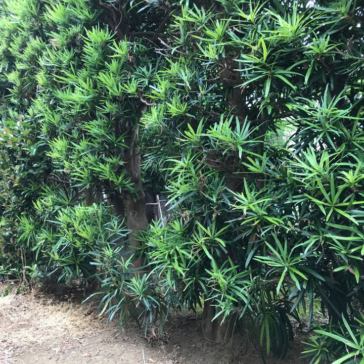 6d801ce8 c934 41d2 acfa d63dcdbdb441 1590899474246