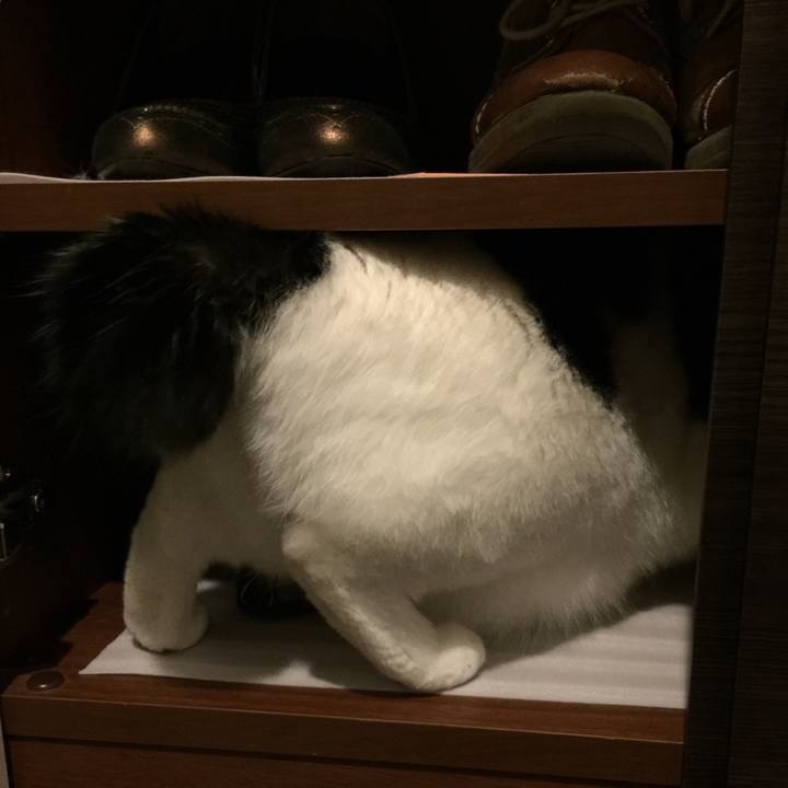 6d801e28 2e62 4ba6 a17f ca87ec96bb2e 1511739628594