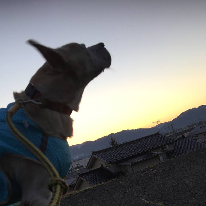 6d802212 0a73 4a82 a55a 2eaa189b2e04 1545692513914