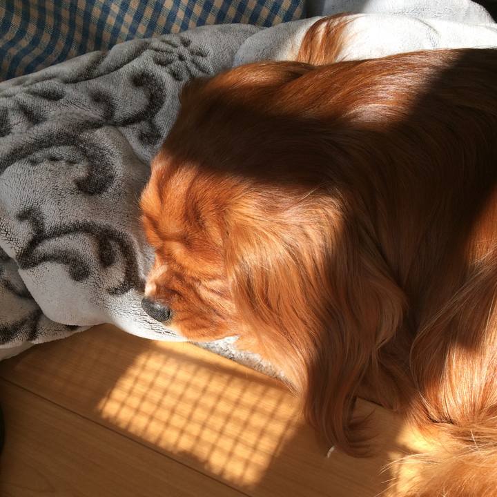 6d80588d 94f5 4557 bef7 95b9f7045329 1575930428463