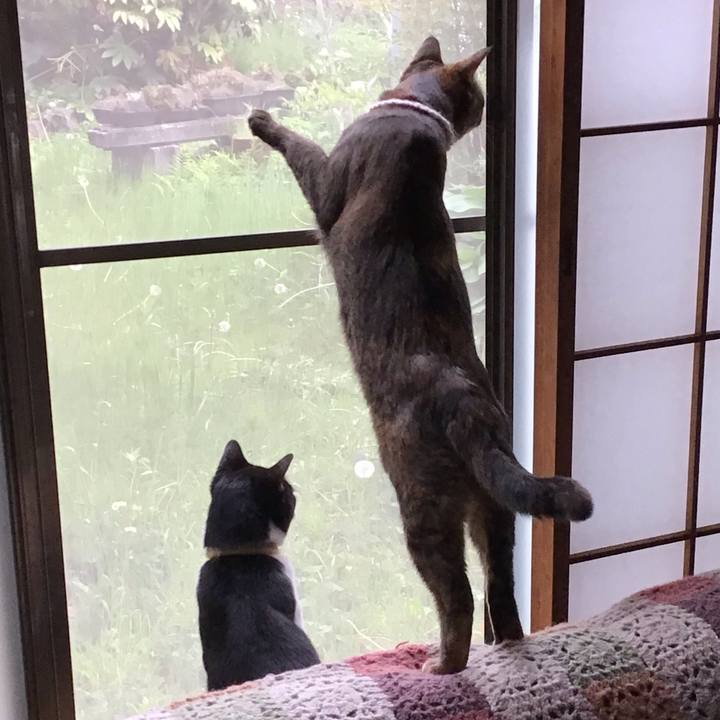 6d806ad8 87fd 42fe 97c1 bb3622cb3847 1651046251835