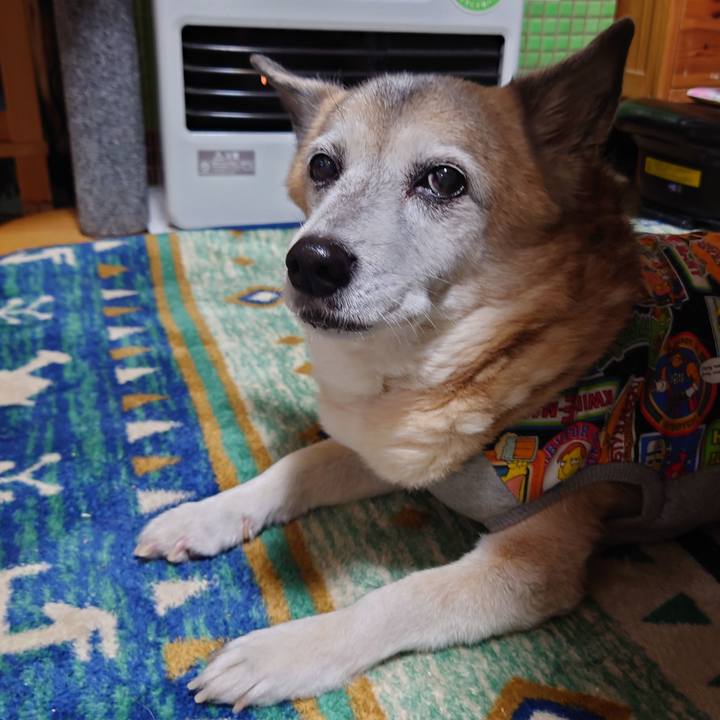 6d8072e5 cbca 437c 9fd7 45a9ba980560 1704448973386