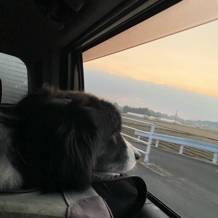 6d808566 9d09 40be a9c4 421c0d001813 1703887500870