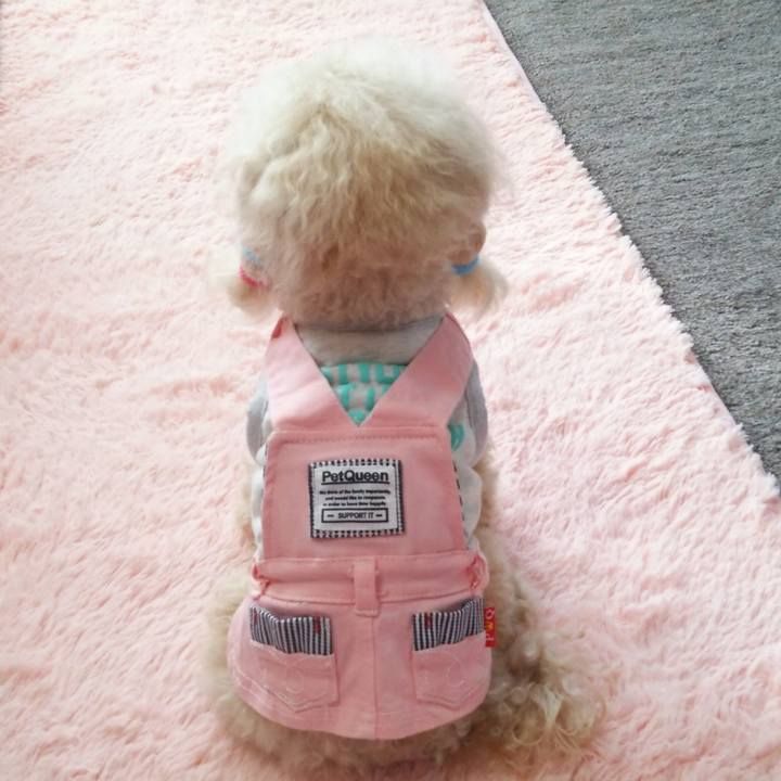 6d80924a 51ea 4f10 b5e4 970ba0fa4df7 1516275518080