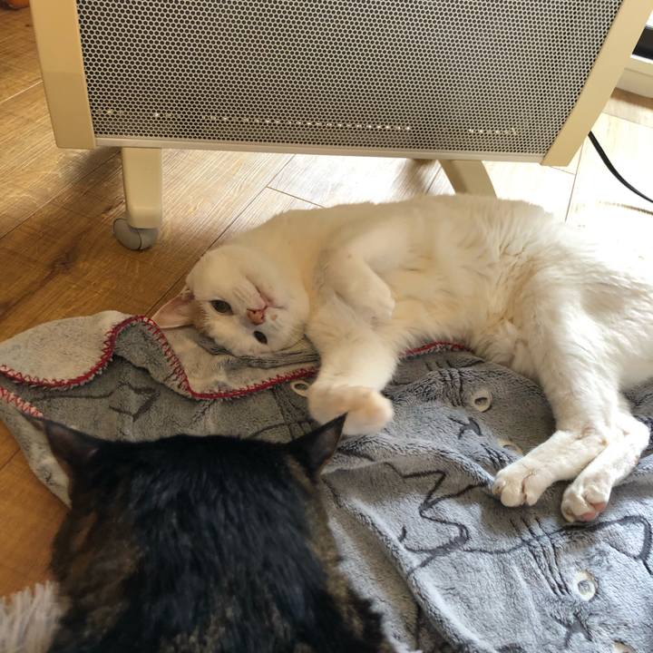 6d80a038 a261 4881 8b77 66ba0fd11e08 1705716956679