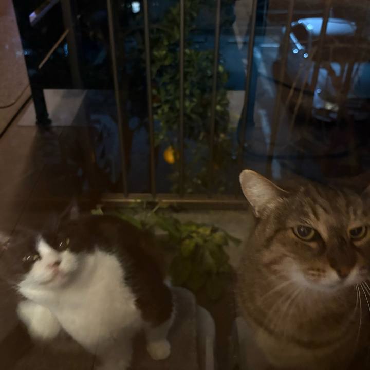 6d80b8f8 14dc 4373 abe9 ee4a24f60f5e 1766486980276