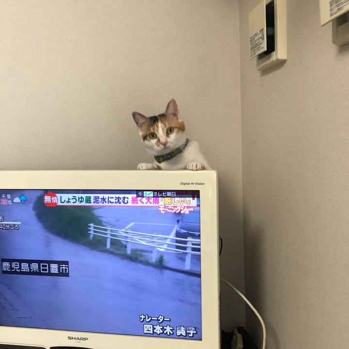 6d80c8a8 aabe 4cbe b27c ded8faa09915 1594338644367