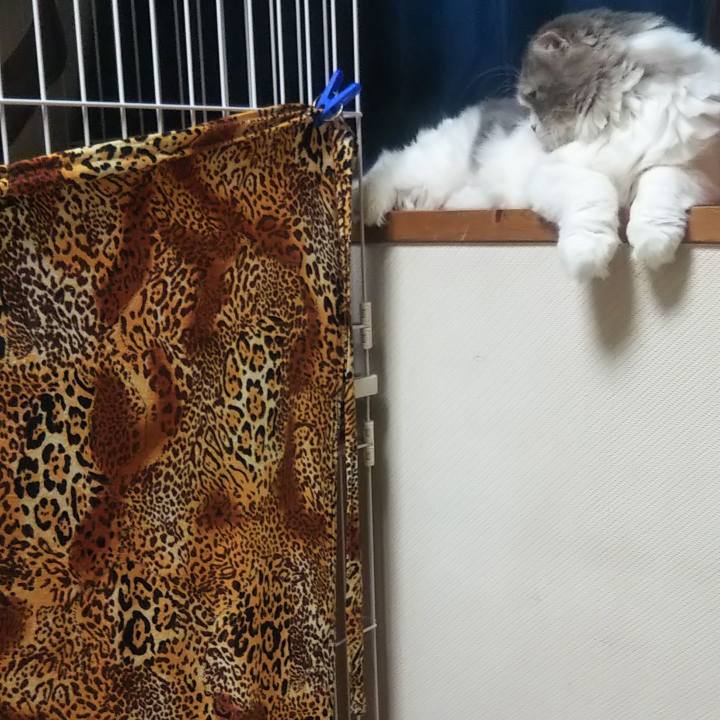 6d80d12f ed5a 4afc 9809 94010911fd96 1635075452188