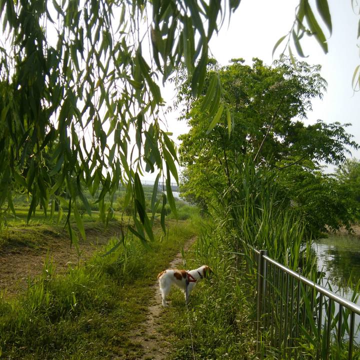 6d80edbd 2fe0 49f8 92fd 11a23c4e6743 1526603248045