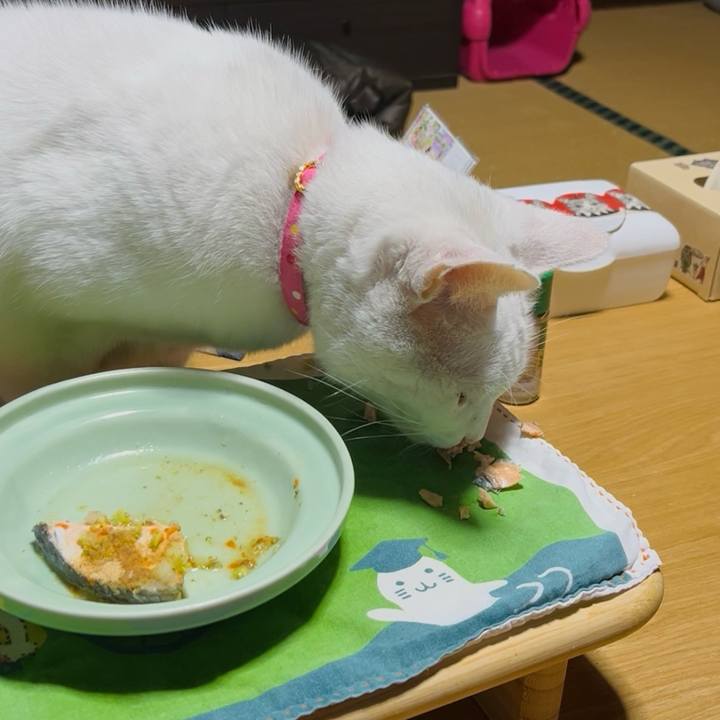 6d80ee43 e43f 4474 8007 b603d91c84fd 1765197276884