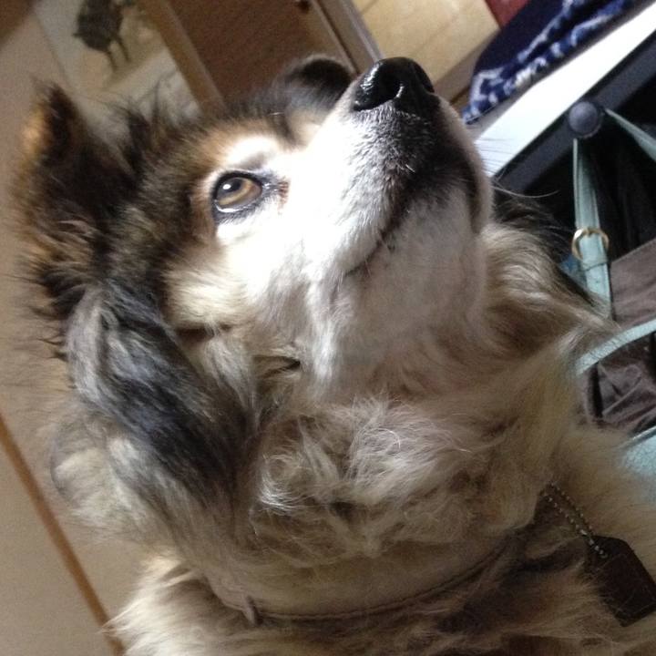 6d8116f9 b5fb 44cc 8f8a f8e7b741c1db 1610233241721