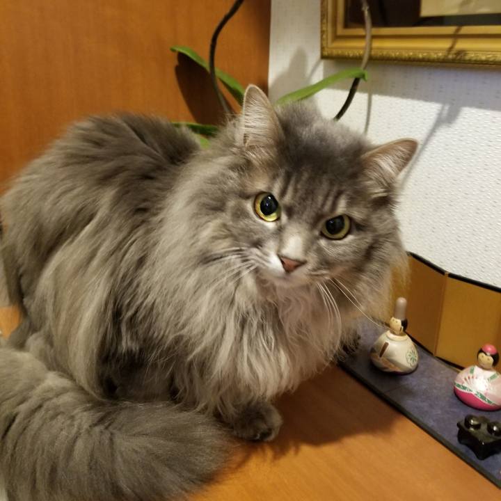 6d815ae8 3c55 43af 8e00 6c1f8ddc79e4 1551622915915