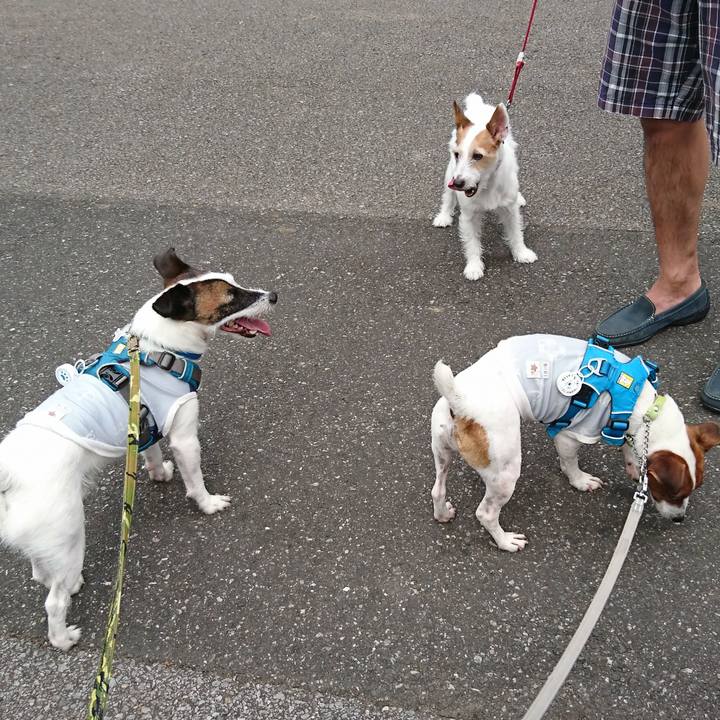 6d81811b 73b9 421c 830f 381663af0945 1563689636613