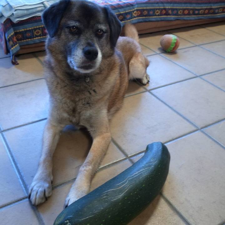 6d818d92 ecfc 47c4 83be 742fd22b82e2 1582453676937