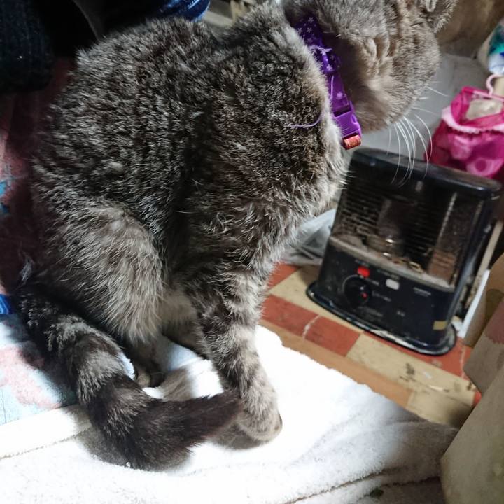 6d81f0d6 4fe8 4b37 ad9a 92aa0aa808b8 1585600626504