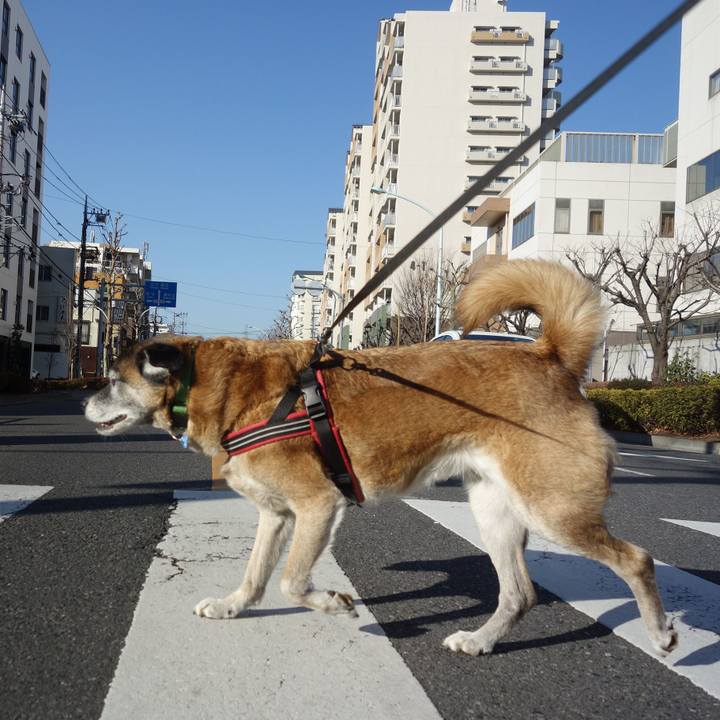 6d81ffd0 52c1 4925 a063 ac9028497544 1549154271087