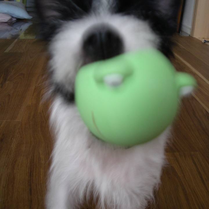 6d82397c 3b08 4714 8c6a 4b03c45028f0 1528547959225