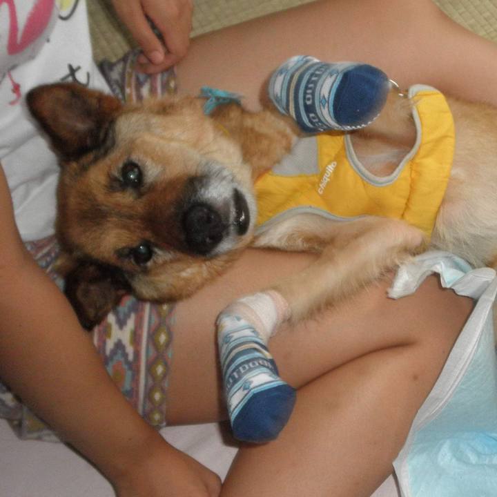 6d828889 1486 4458 9624 793a5552bccc 1597057968769