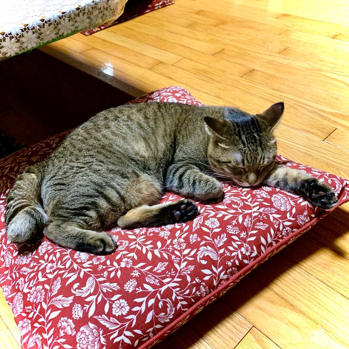 6d831feb 8eeb 4bcb a1ff 788882c331a5 1598451400246