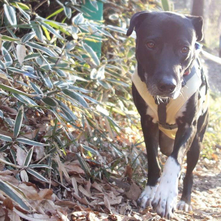 6d832457 e856 4027 a678 cb1d691886ba 1642733174331