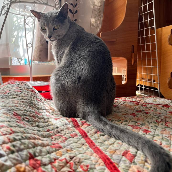 6d836789 d692 41ee b5fe 0170941c551a 1669536167935