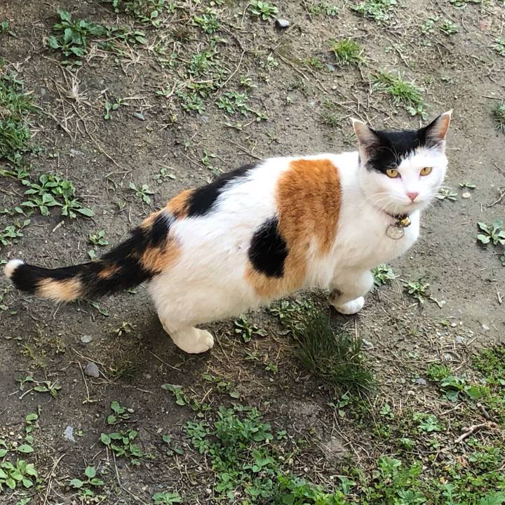 6d8371a3 f972 4552 b471 13e60feaf12d 1616450812582