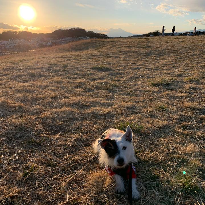 6d83b93c 1894 4c78 a76a df93db509b5b 1740039317831