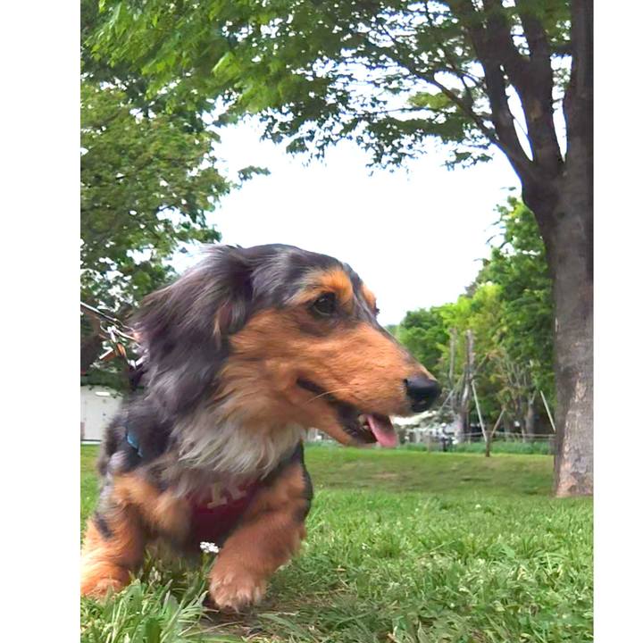 6d845549 968a 4659 b229 31147d5580df 1745131393100