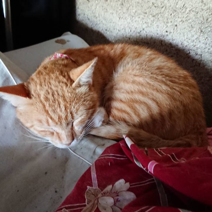 6d848b94 96b9 41c1 a1c2 69ed3450f2e6 1561262649994