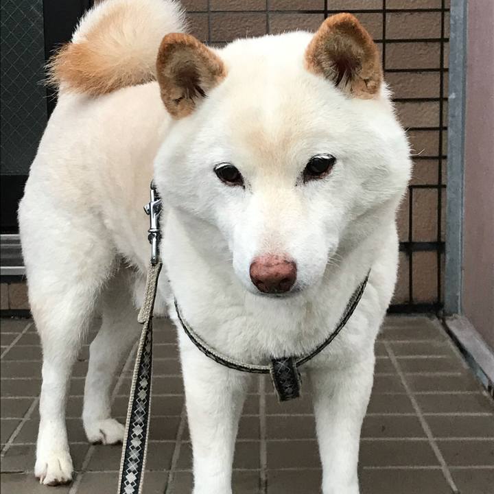 6d84a841 7742 44a2 8884 a99fa3ad5e19 1634202189776