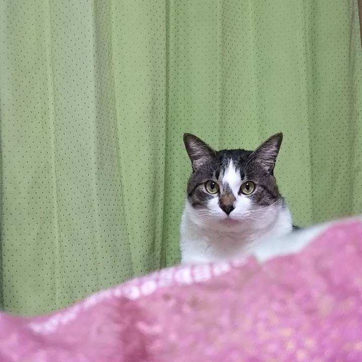 6d84ed6d 865b 4420 90da f2e7db8aafe1 1613140202268