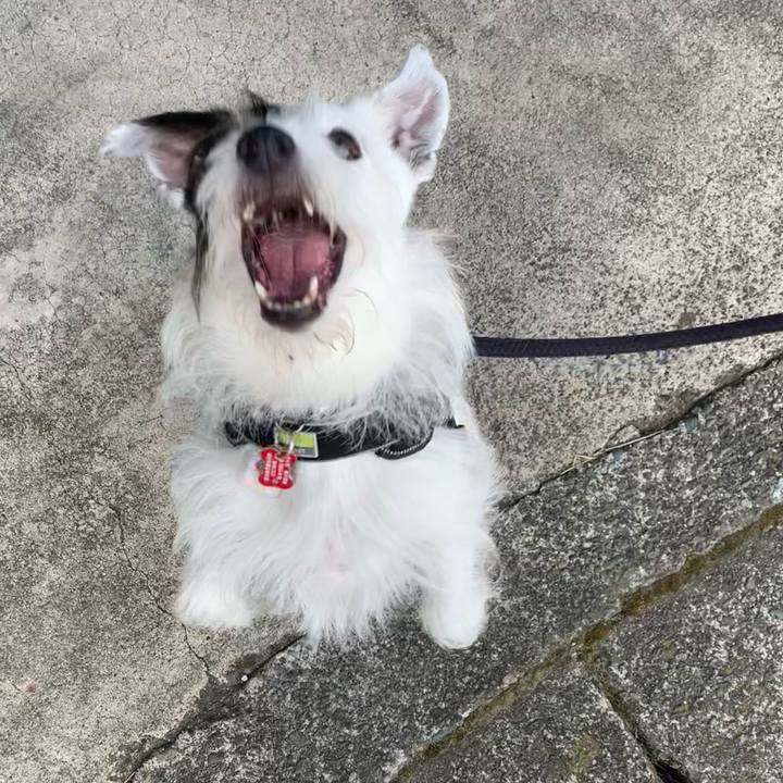 6d850d2e 24bf 4b0f 8633 955436d21f6f 1690411363837