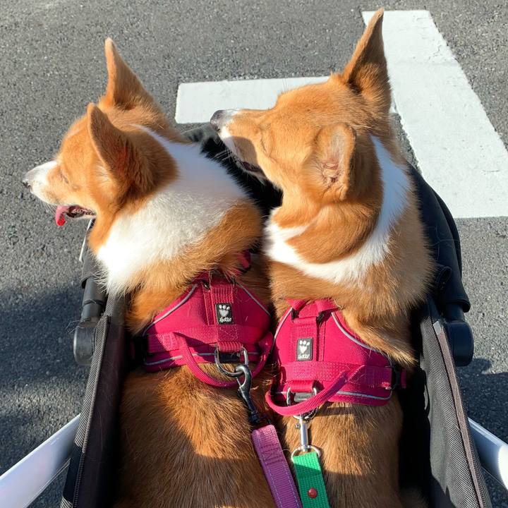 6d856db6 c0e6 49f2 96f5 33f70ae5506d 1628548472927