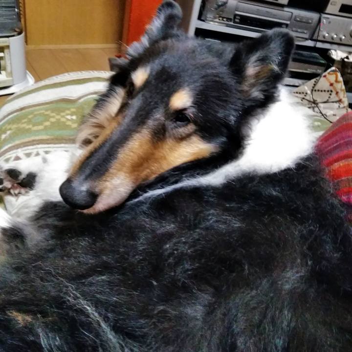 6d85d260 9aa5 4fa5 8ae0 290ea33a6d11 1517229533174