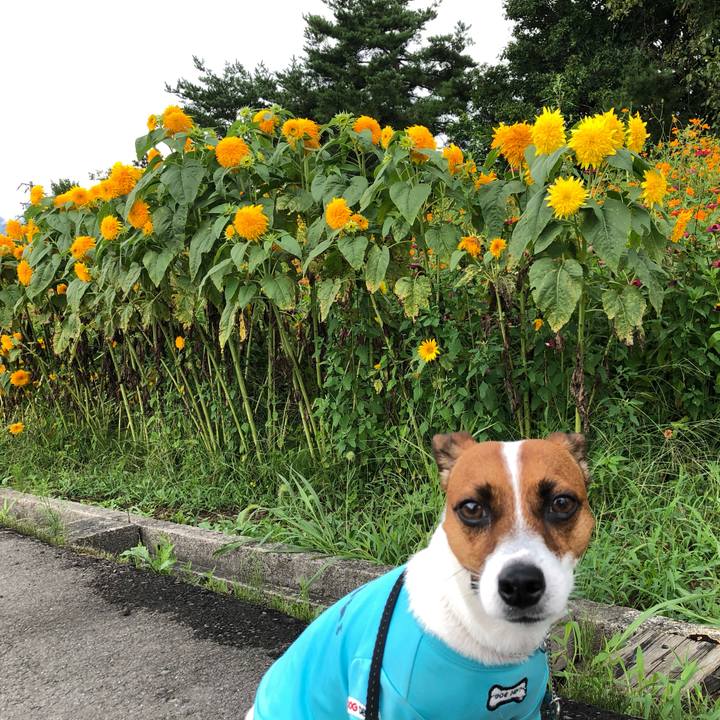 6d85e074 4a90 4801 91bb c3b8c5ee93f0 1566532995875