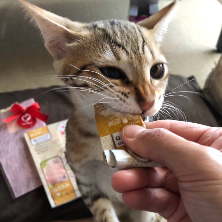 6d85fd4f 79f0 4882 861a f77eb99b7e27 1578701012069