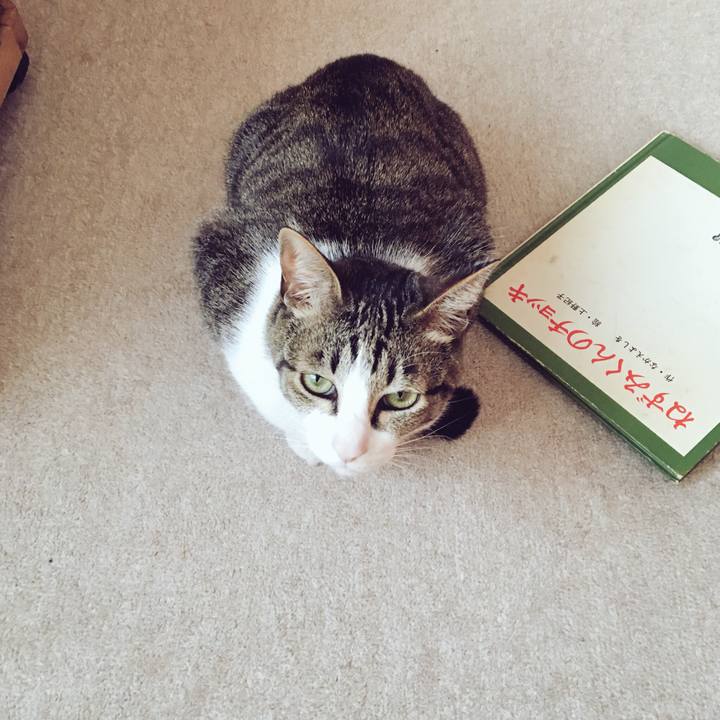 6d860dff 02a0 4771 adbb cd3f2f811085 1522824302884