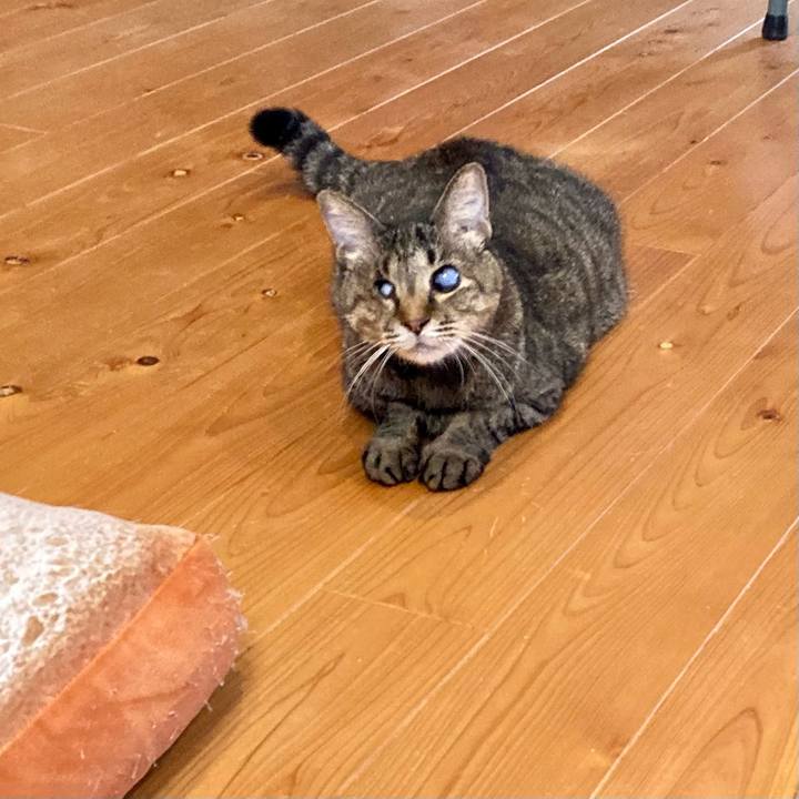 6d8630ea b404 47d8 b37e 96a31065fcc9 1663036388531