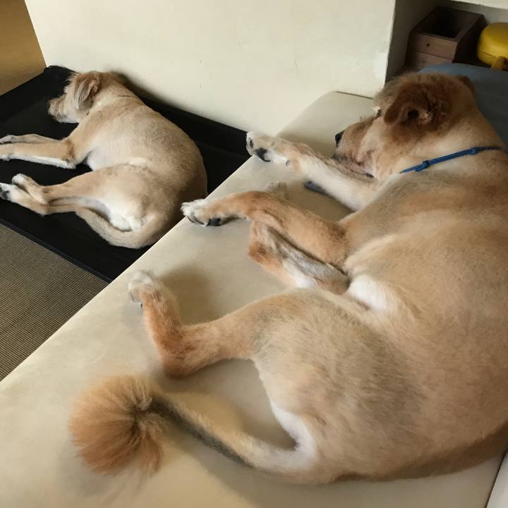 6d8634f7 1cf8 4231 a9a9 bba188f9673a 1595825414927