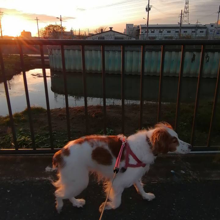 6d86387b be84 4632 b379 d811a7359256 1609068259024