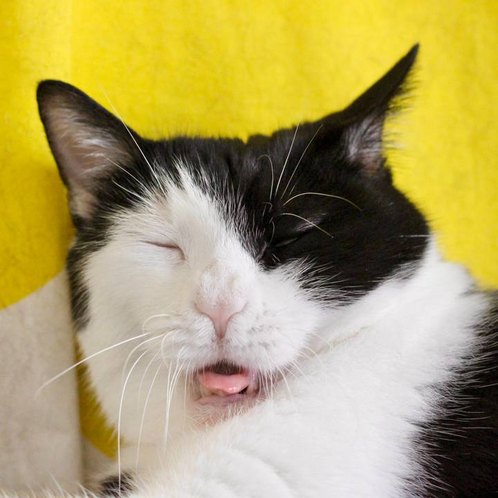 6d869973 e656 4c7a b20f beda26b858dd 1698579890099