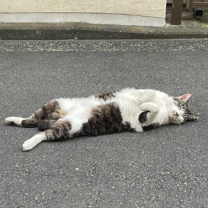 6d870751 60ad 4e03 9bc4 f6200a6fac33 1623630727802