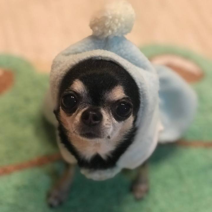 6d871b13 987d 491d aa50 03b3b6a621f0 1764597852724