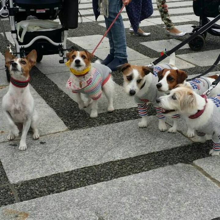 6d877db2 d194 4d9c aeff a9e6032004e1 1539428186130