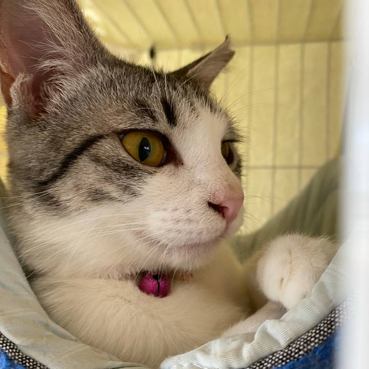 6d87a384 eef9 4edf b19b 4255446a63fa 1754138242809