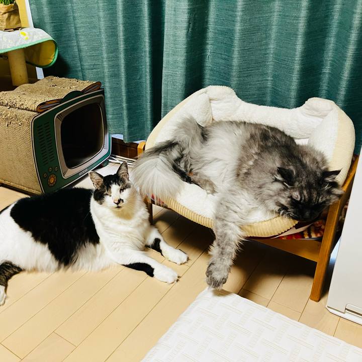 6d87ac77 9b2f 4262 b430 fe47fe4eec91 1754616689439