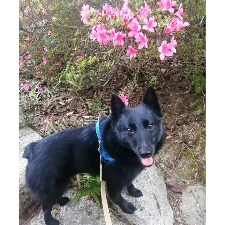 6d87cbaa 444e 4ca0 8a4a 027536c6b3a4 1622582115760