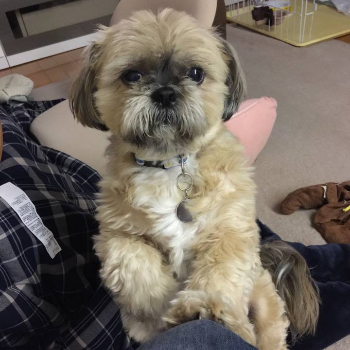 6d87fc89 884b 4a7f a950 6afb4370d1e5 1525232085126