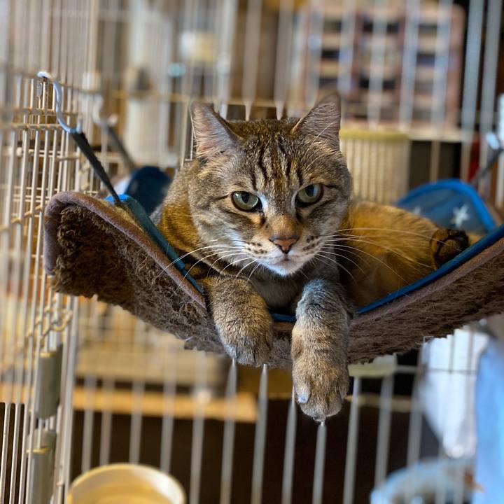 6d882d71 aacd 47fb 85b4 3c29e14d5b68 1590133083003